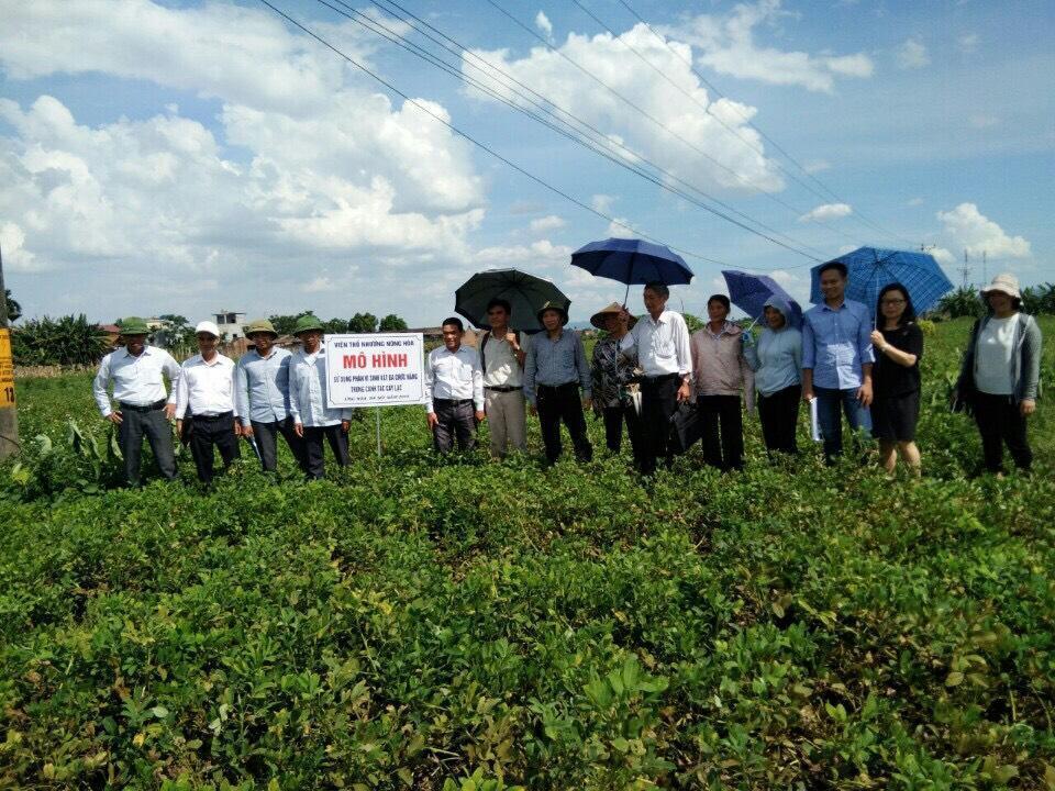 Chế phẩm vi sinh vật cải tạo đất rọn bộ giúp phục hồi cấu trúc đất và tăng cường sức khỏe hệ sinh thái đất, hỗ trợ trồng trọt bền vững.